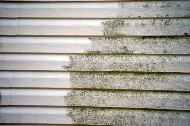 Best Same-Day Junk Removal Services  in Montesano, WA